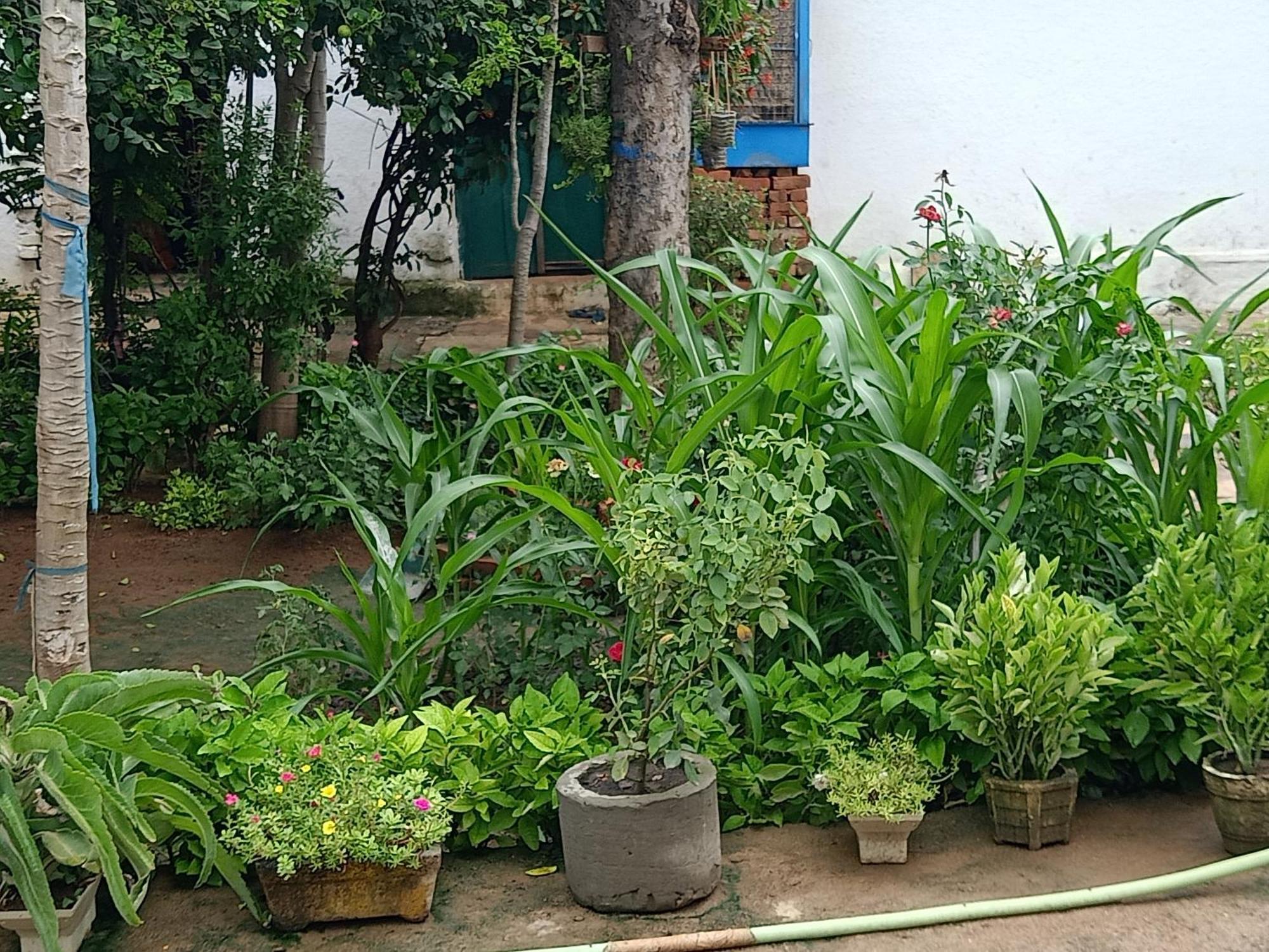 Apartamento Khajuraho Rancho Exterior foto